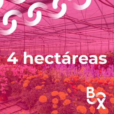 PLAN MENSUAL 4 HECTAREAS